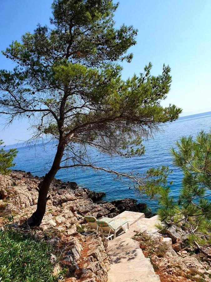 Vila Modern Robinson Veli Bare Vela Luka Exteriér fotografie