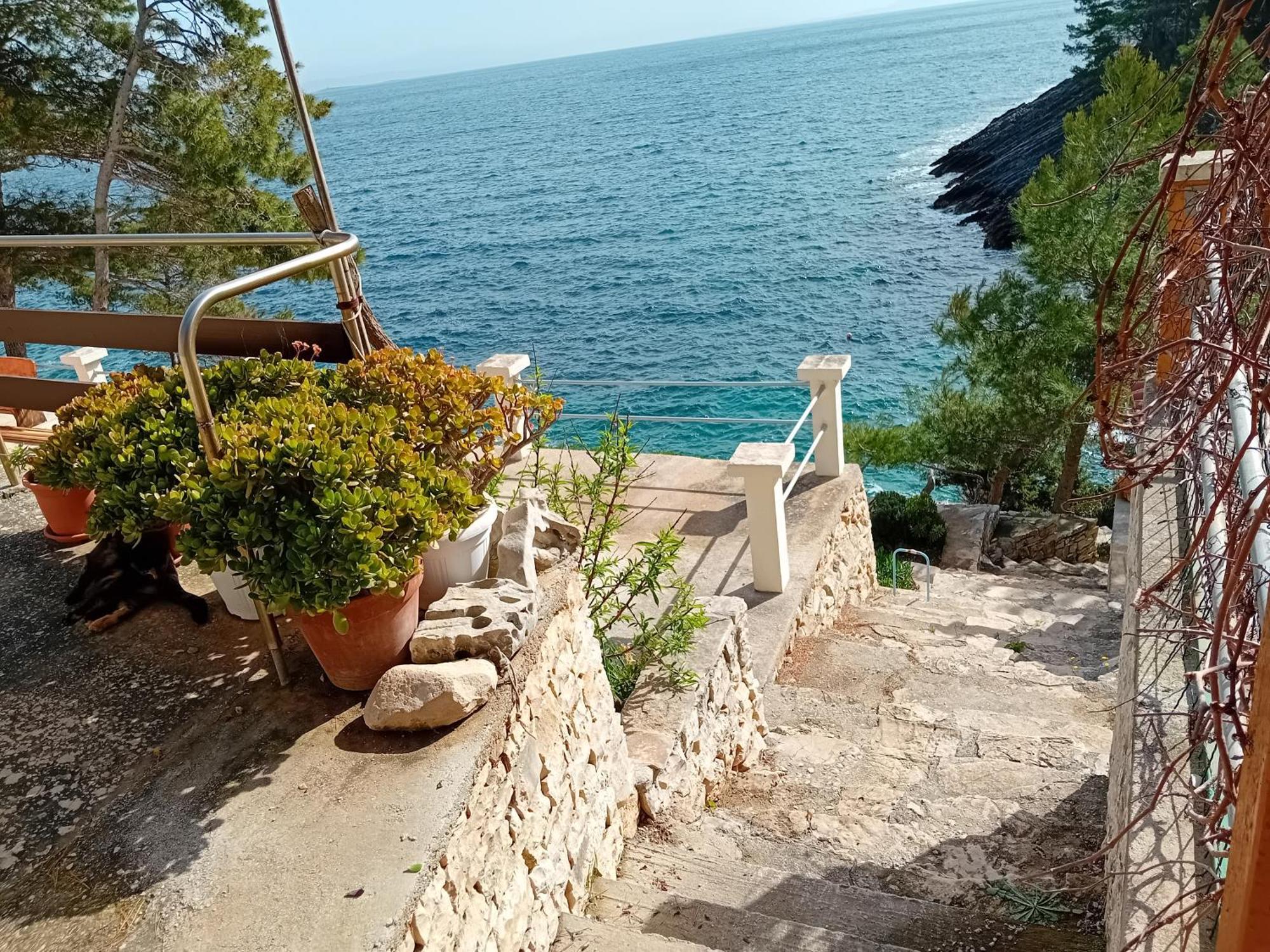 Vila Modern Robinson Veli Bare Vela Luka Exteriér fotografie