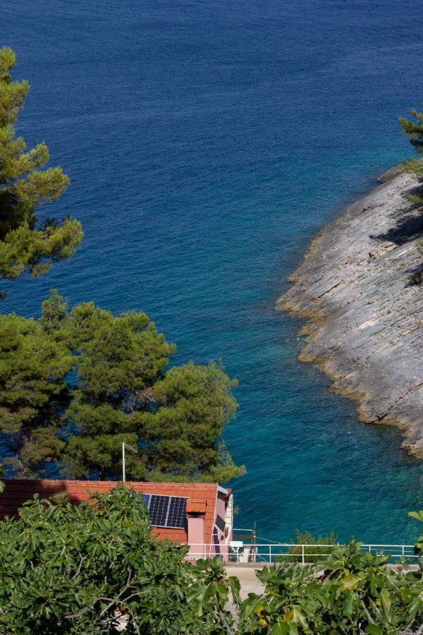 Vila Modern Robinson Veli Bare Vela Luka Exteriér fotografie