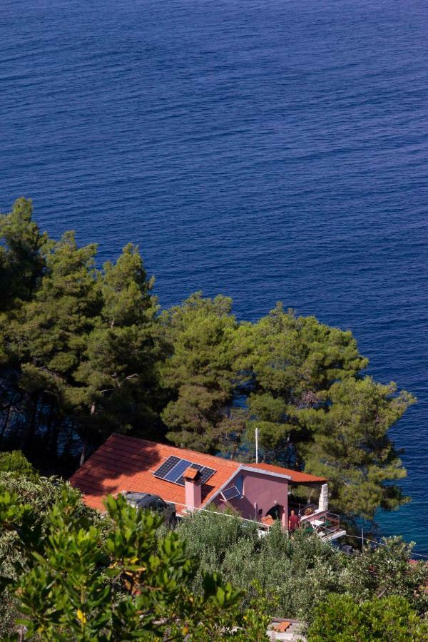 Vila Modern Robinson Veli Bare Vela Luka Exteriér fotografie